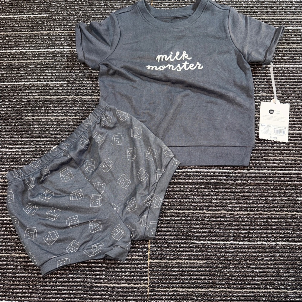 Cloud Island Milk Monster Outfit Set Kids 24M New Grey Graphic Tee Bloomers